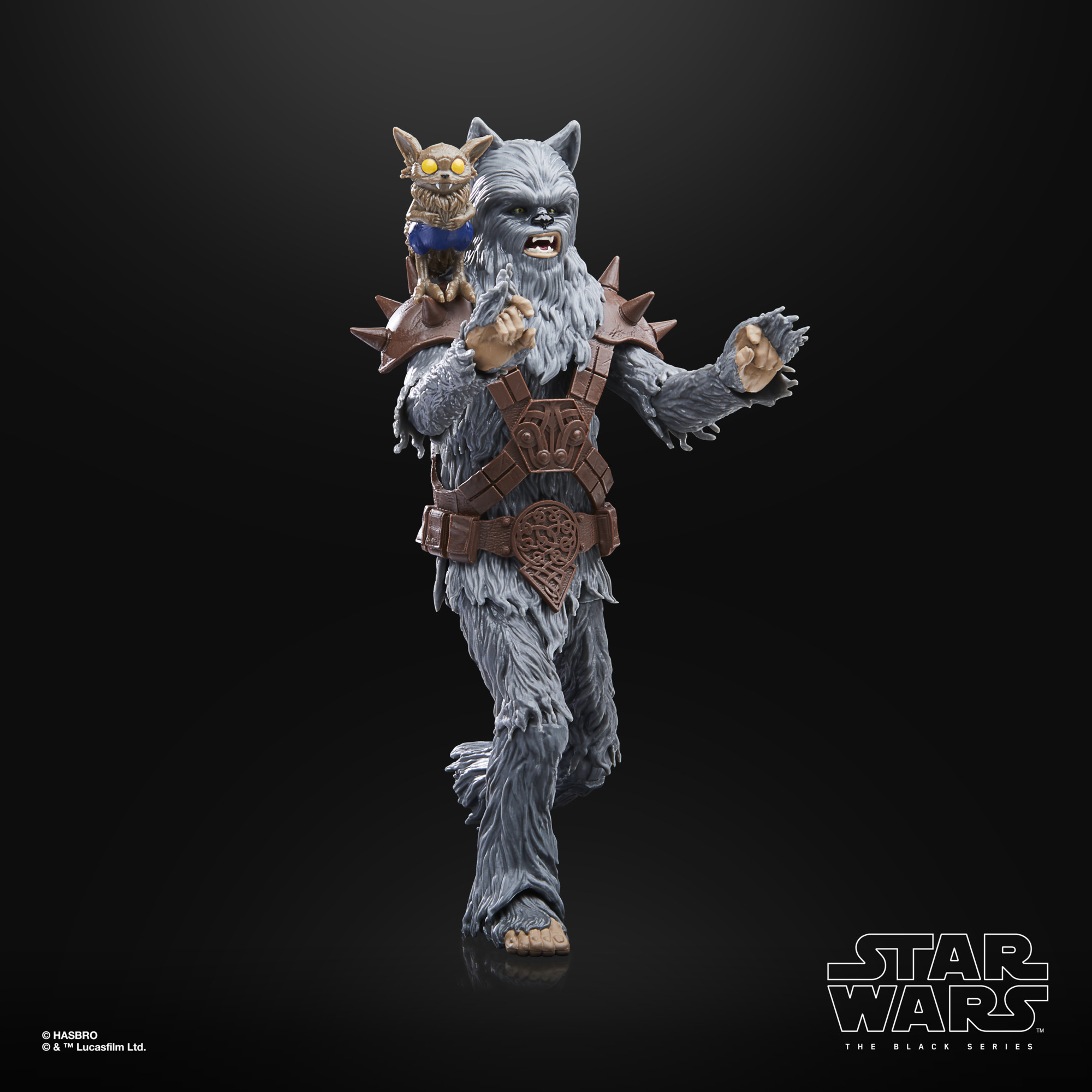 Star Wars The Black Series Wookiee (Halloween Edition) F56095L0 5010994167028